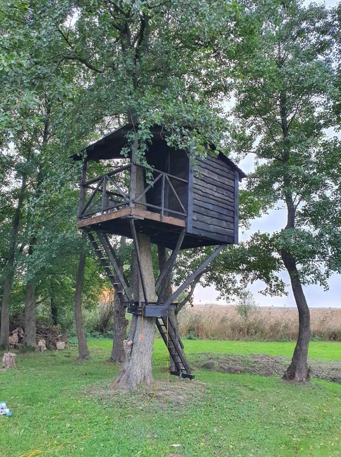 Kaimo Turizmo Sodyba Satavi Villa Kinty Luaran gambar