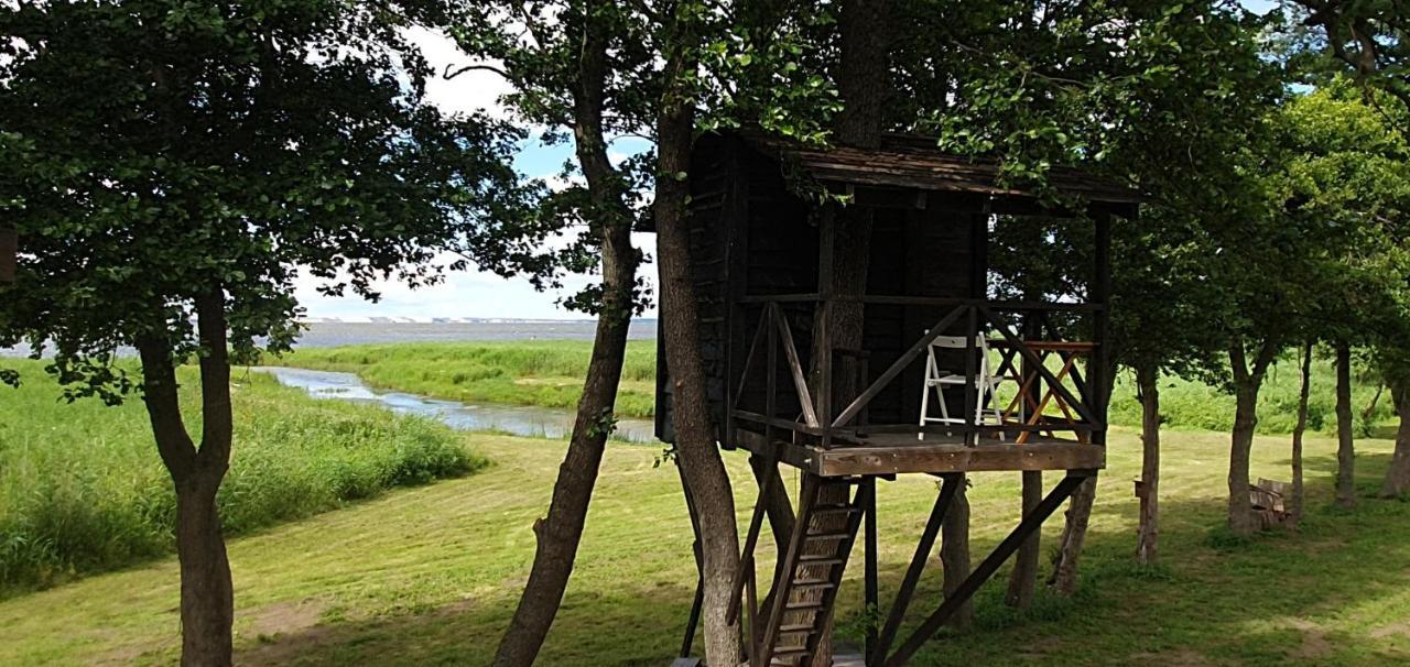 Kaimo Turizmo Sodyba Satavi Villa Kinty Luaran gambar